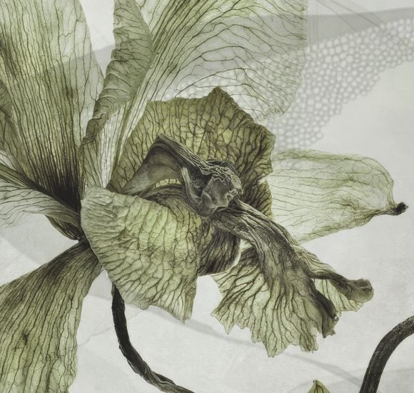 HERBARIUM