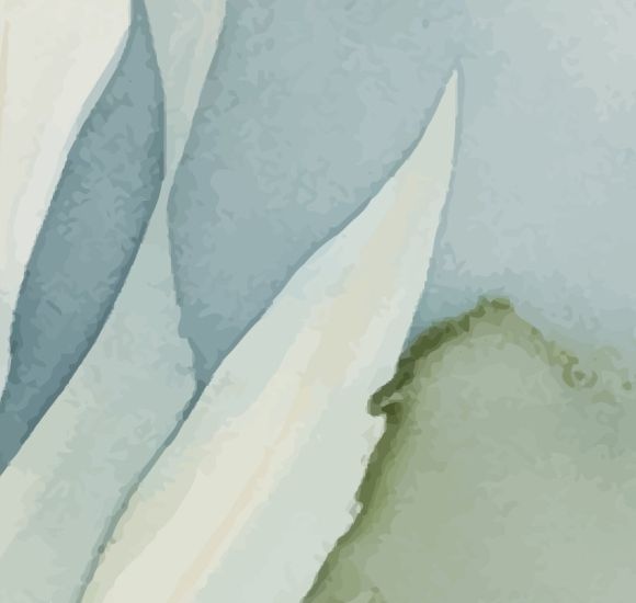 ELOA