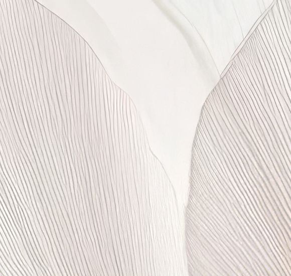 VEIN